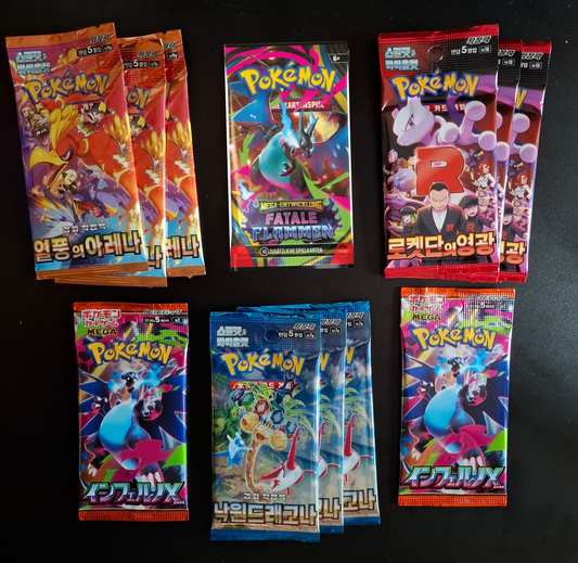 12er Fundi´s Pokemon Booster Bundle mit Fatale Flammen